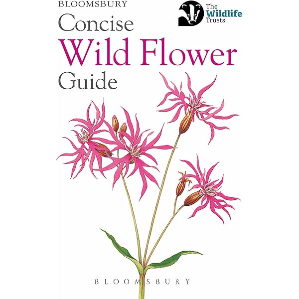 【中古】 Britain’s Wild Flowers: A Treasury of Traditions, Superstitions, Remedies and Literature/NATL TRUST/Rosamond Richardson Wild Flowers of Britain - A Treasury of Traditions
